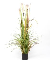 Sztuczna trawa Foxtail Plume 120 cm z kłosami
