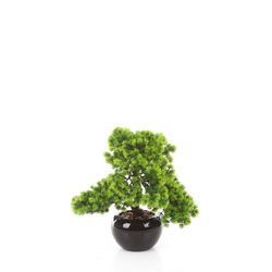 Sztuczne drzewko Bonsai Modrzew Larch 37x30 cm w ceramicznej doniczce